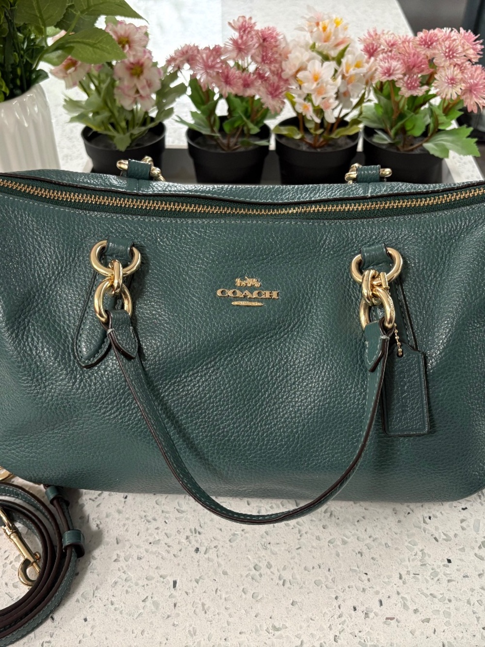 Coach Ally Leather Satchel F30565